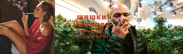 шишки Армянск