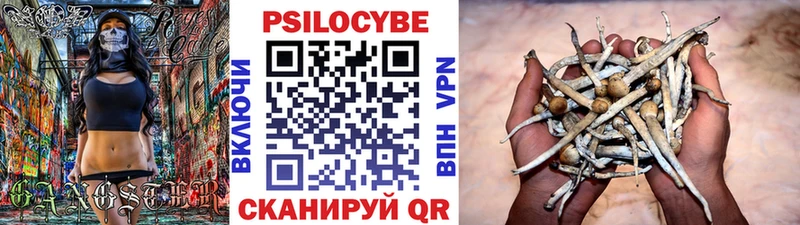 Галлюциногенные грибы Magic Shrooms  купить закладку  mega сайт  Новый Оскол 